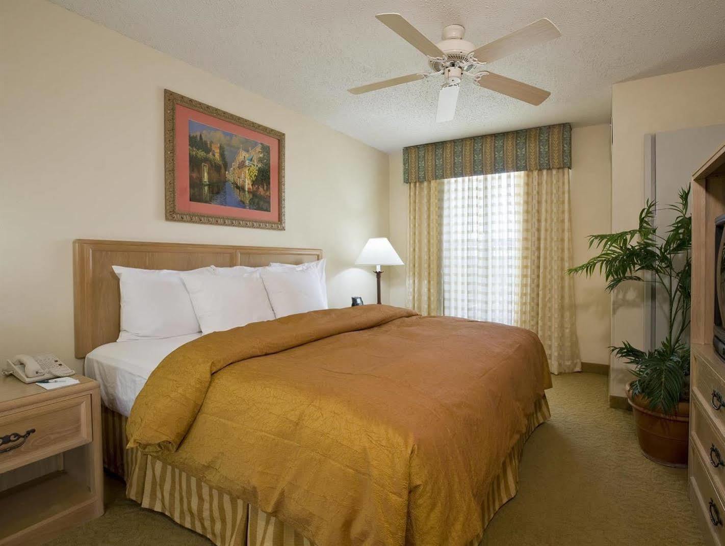 Homewood Suites By Hilton Austin South Стая снимка